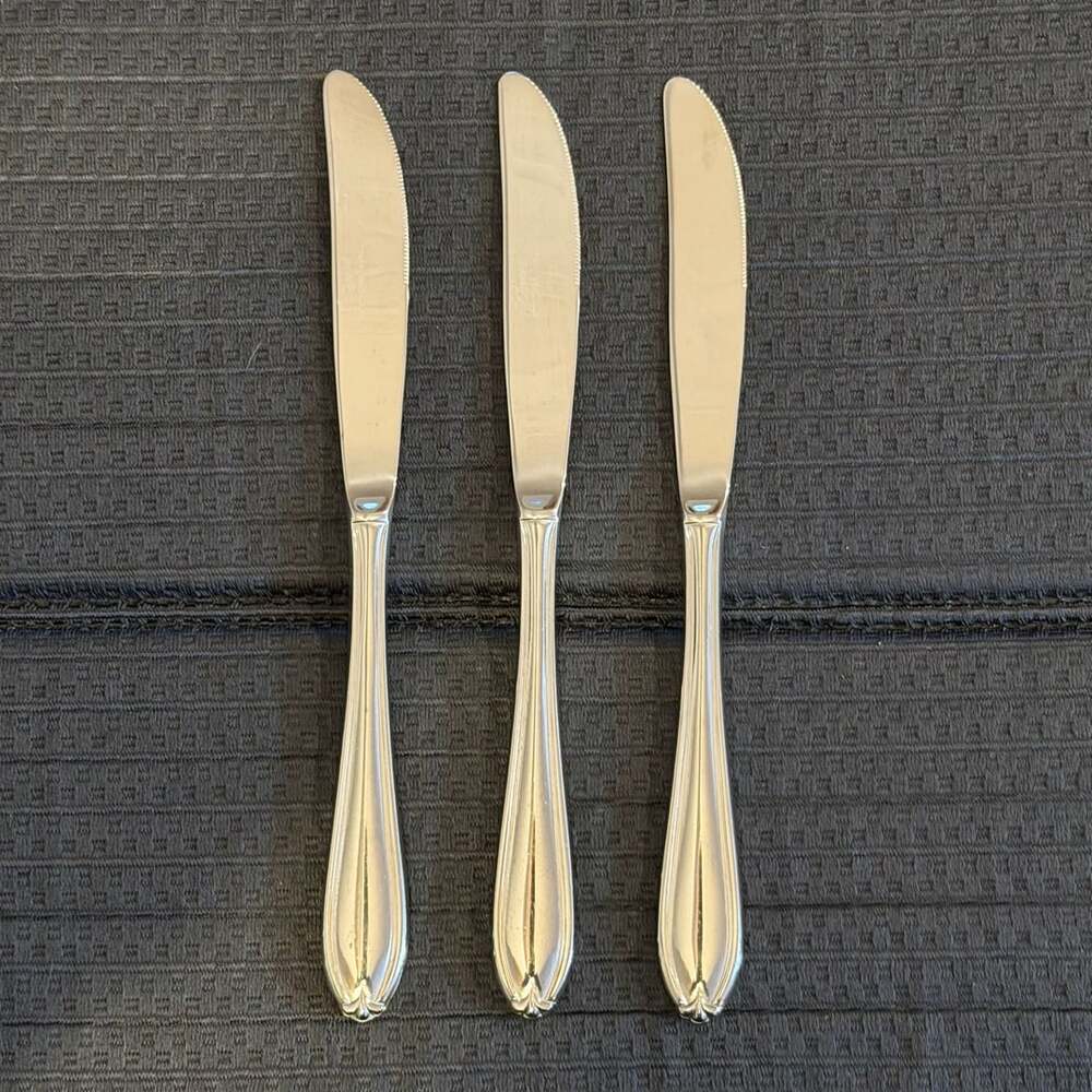 Rogers & Co Stainless Dinner Knives Set Of 3